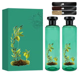 Long Lasting Botanical Essential Oil Natural Hair Dye