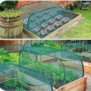 🌱 49% OFF NOW! ✨ Foldable Pop-Up Plant Mesh Cover – Protects Plants, Breathable Design & Easy Setup 🌿