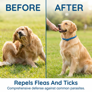 💥Last Day Special Sale 49% OFF🐕Natural Essential Oil Pet Pest Repellent Collar