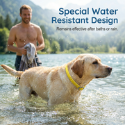💥Last Day Special Sale 49% OFF🐕Natural Essential Oil Pet Pest Repellent Collar